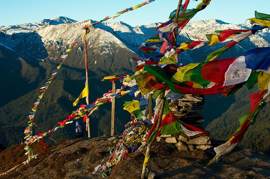 Flagi modlitewne na szczycie Dzongri (Goecha La trek)